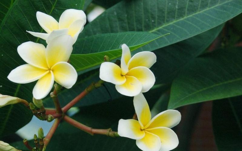 一个女人喜欢你一定要知道这些,想要一个女人持续的喜欢你