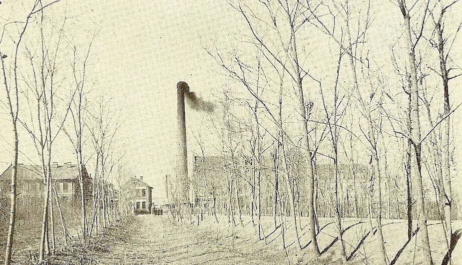 夏季解暑佳品扎啤,在炎热的夏天来一杯梅子酒