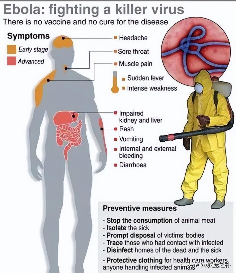地球上十大可怕的病毒,地球上最厉害的十种病毒都是什么