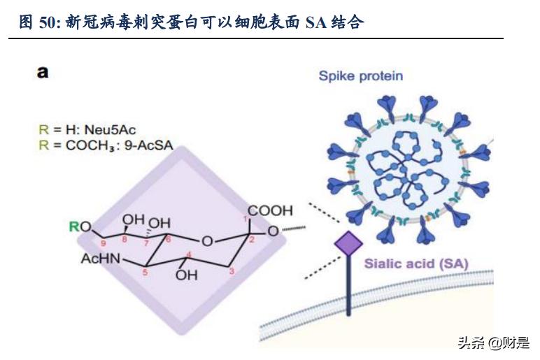 嘉必优的深度分析,嘉必优生物技术