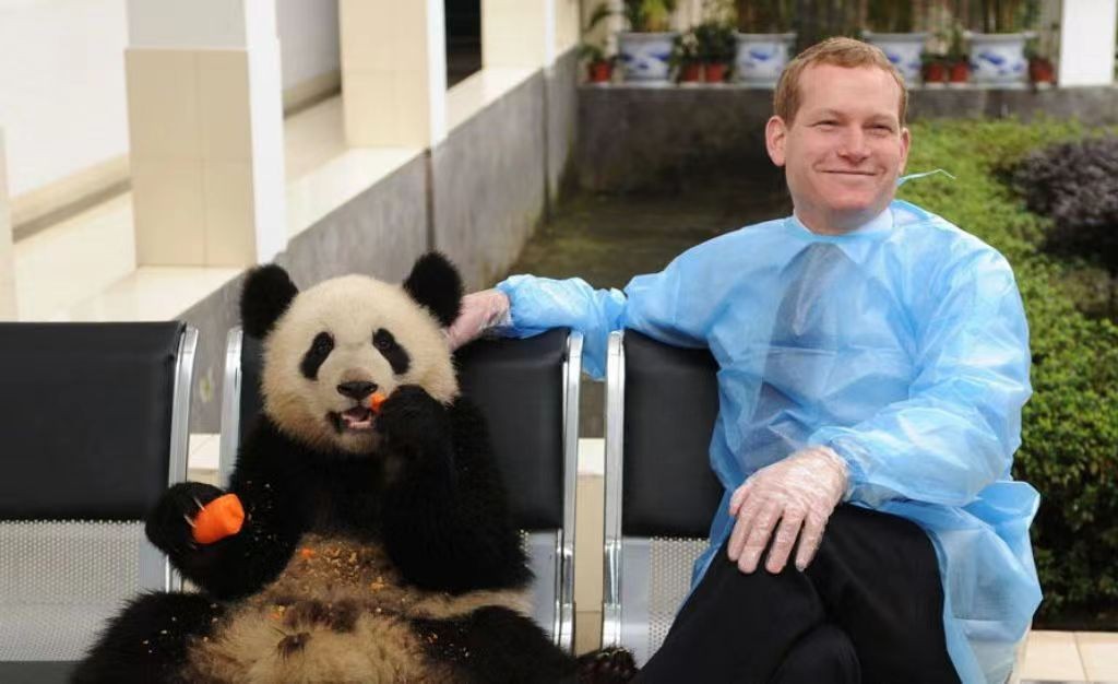 各国对待中国熊猫的态度,盘点各国对待大熊猫的态度
