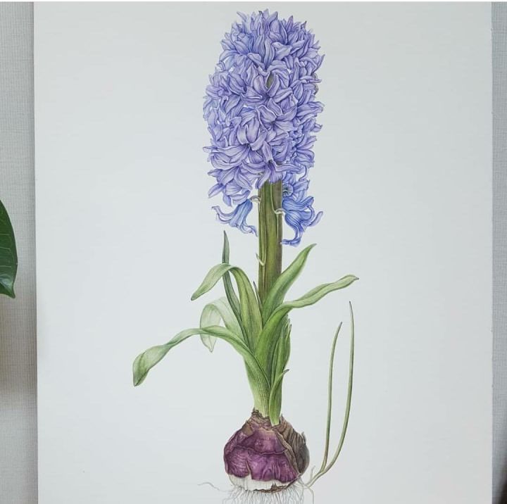 初学画画入门零基础直播,初学画画到底应该学什么