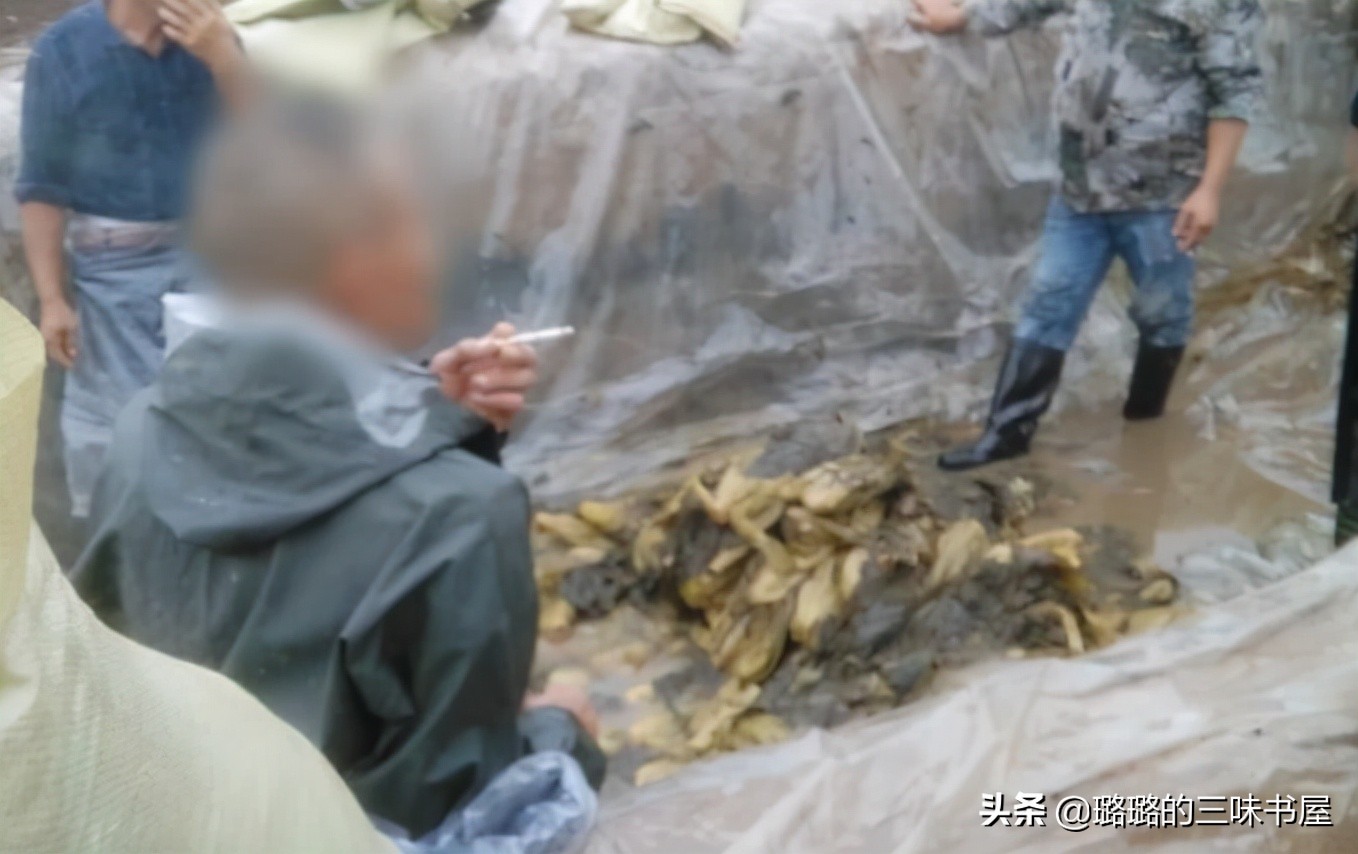 那些黑心的商家,黑心商家昧着良心赚钱