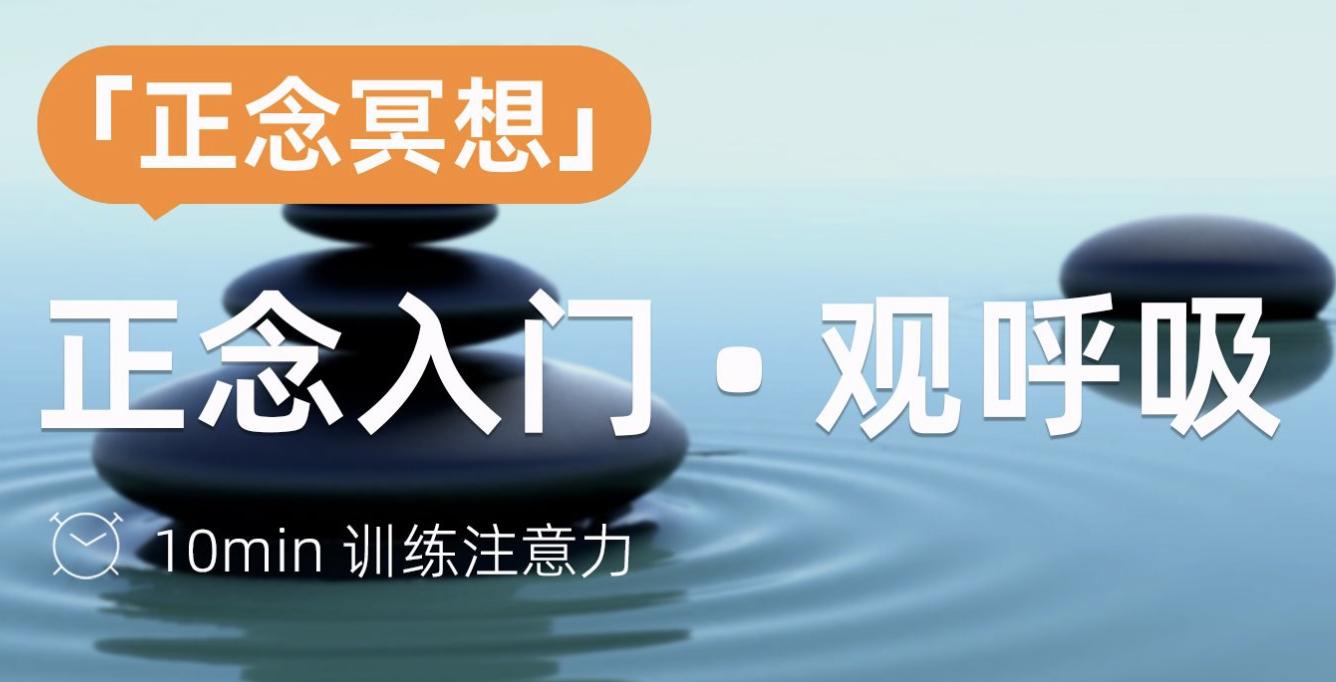 李少波真气运行收功全套视频,李少波真气运行法完整版高级功法