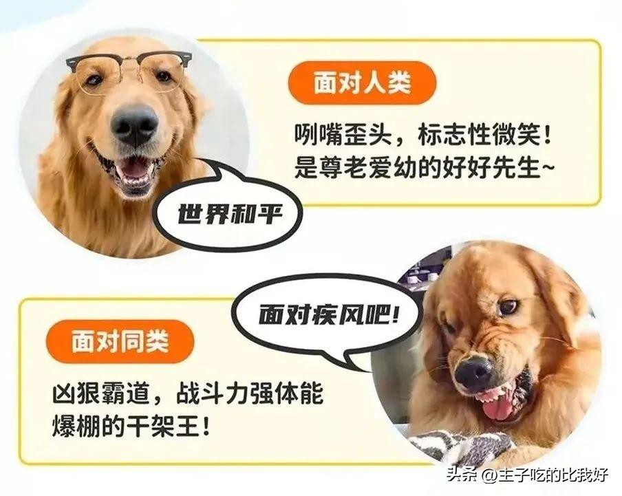 养宠知识问与答,宠兽小知识100条