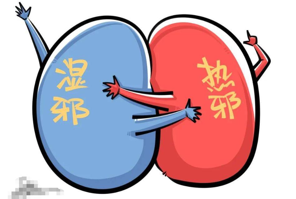 妇科炎症中药当茶饮,健脾除湿的妇科药