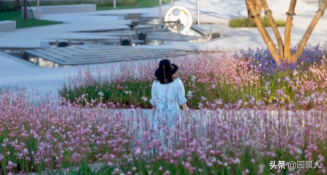 神奇事务所在哪里|ASPECTStudios:以持久的方式改善人们的生活