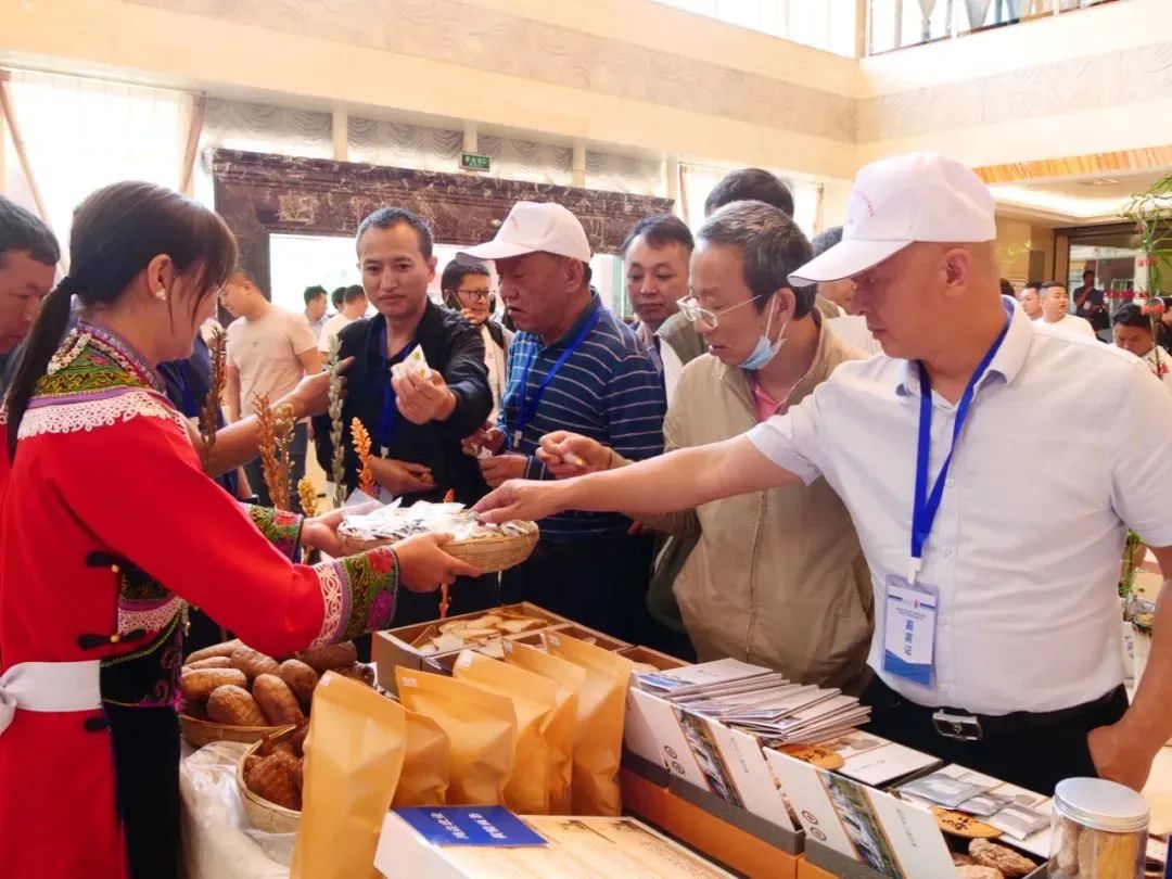【轿子山文化旅游节】云南·禄劝2023年轿子山文化旅游节最全攻略来啦（图文版）！