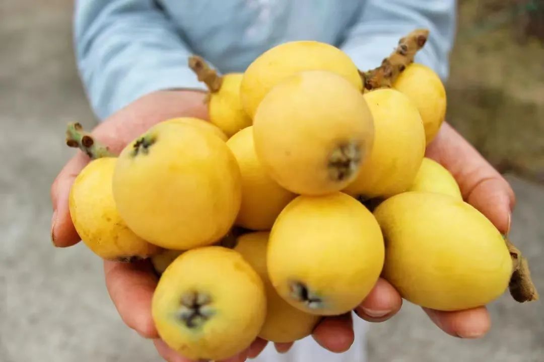 好消息半价机票,景区半价好消息怎么表达