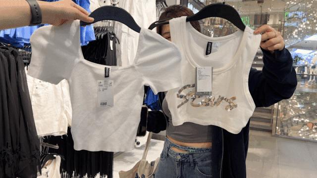 新晋网红电子小猪,网红电子小猪是怎么火的