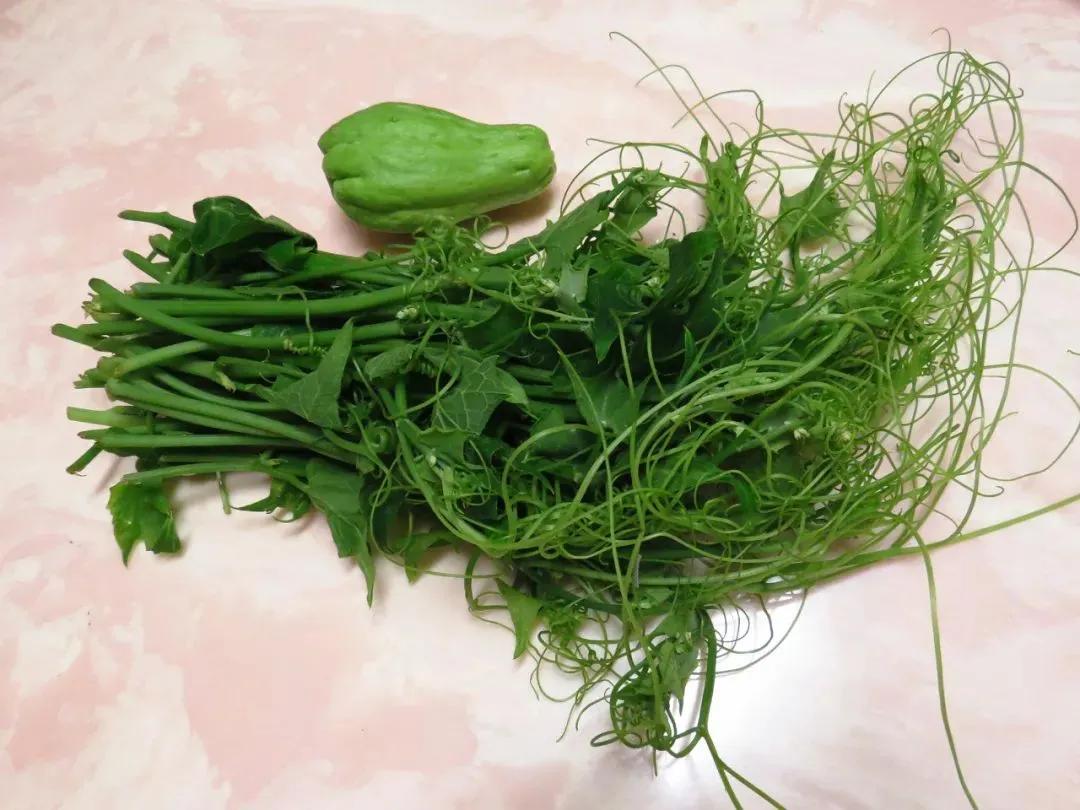 南瓜藤尖吃的好处,南瓜藤尖吃了有啥好处