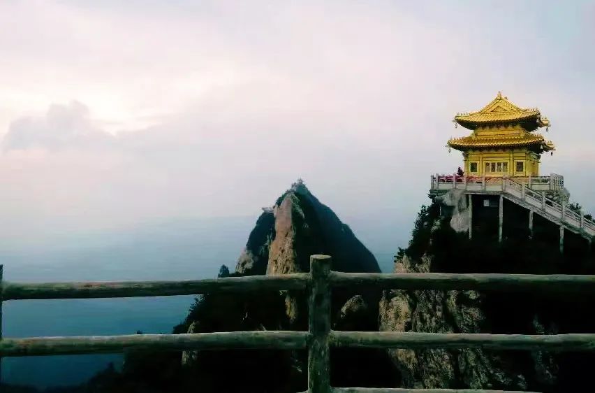 甲友心声——时光不老，终将一寸一寸地治愈我