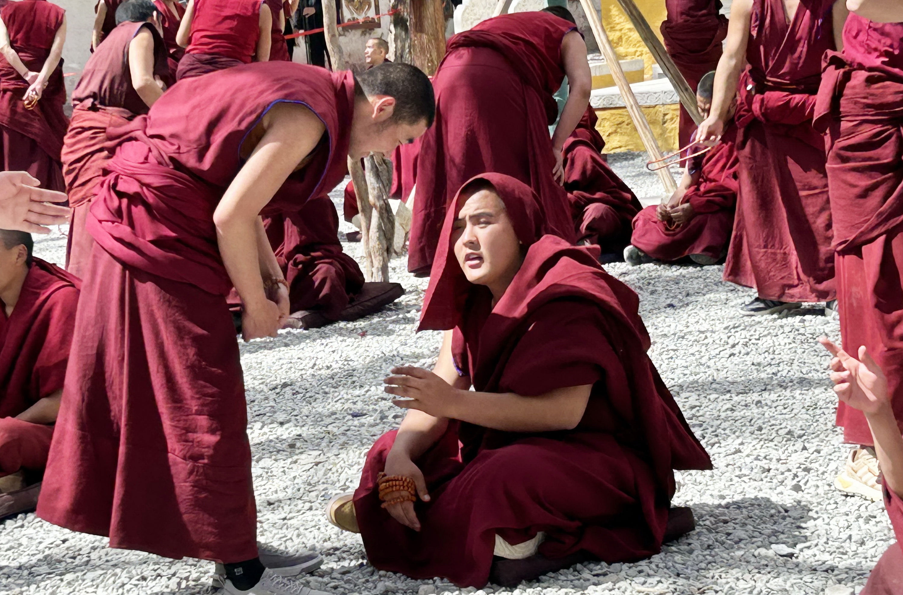 我的林芝一日游攻略,林芝看桃花西藏之旅
