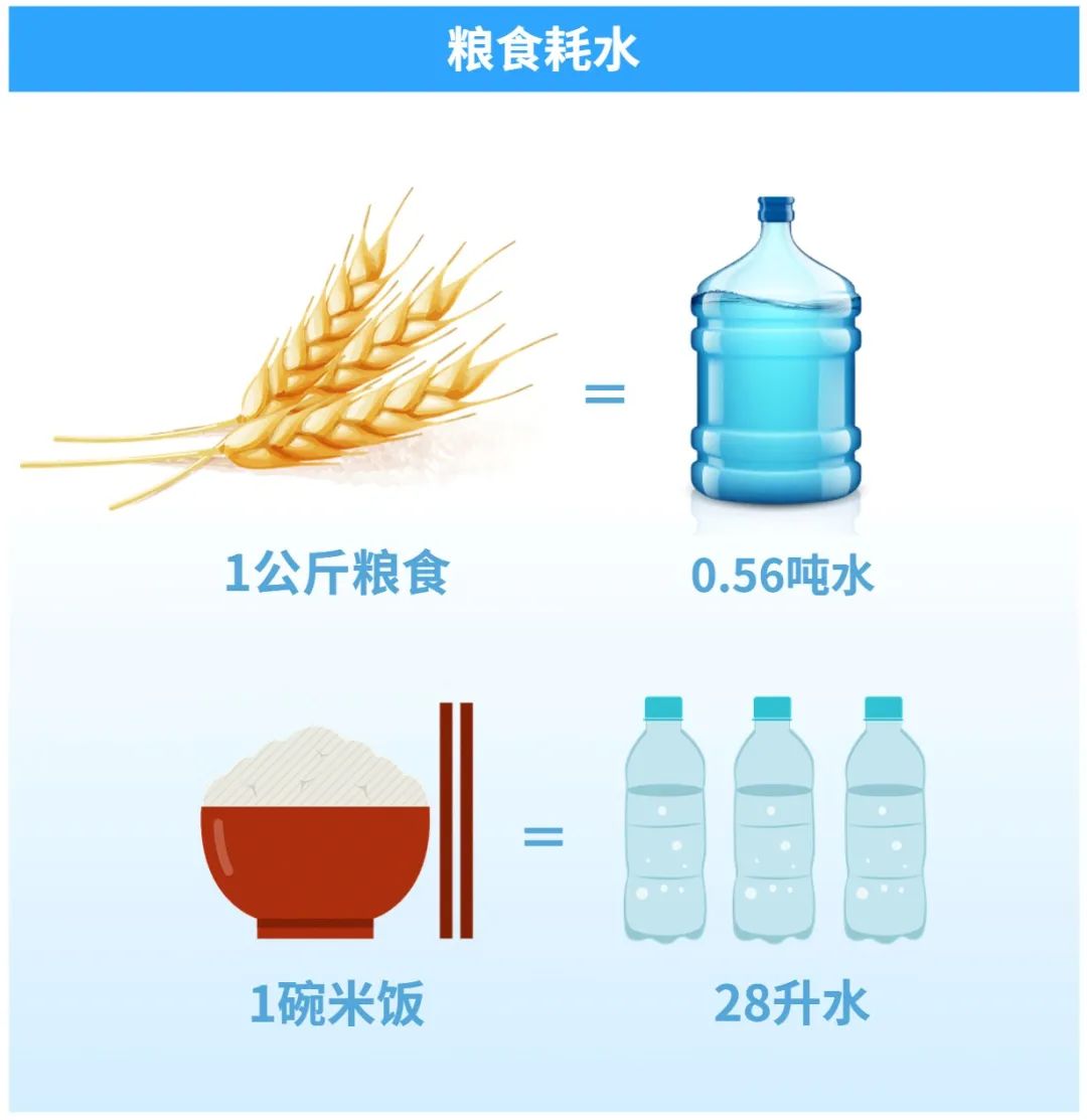 端牢中国饭碗的命脉在于水？节约一碗饭相当于节约28升水