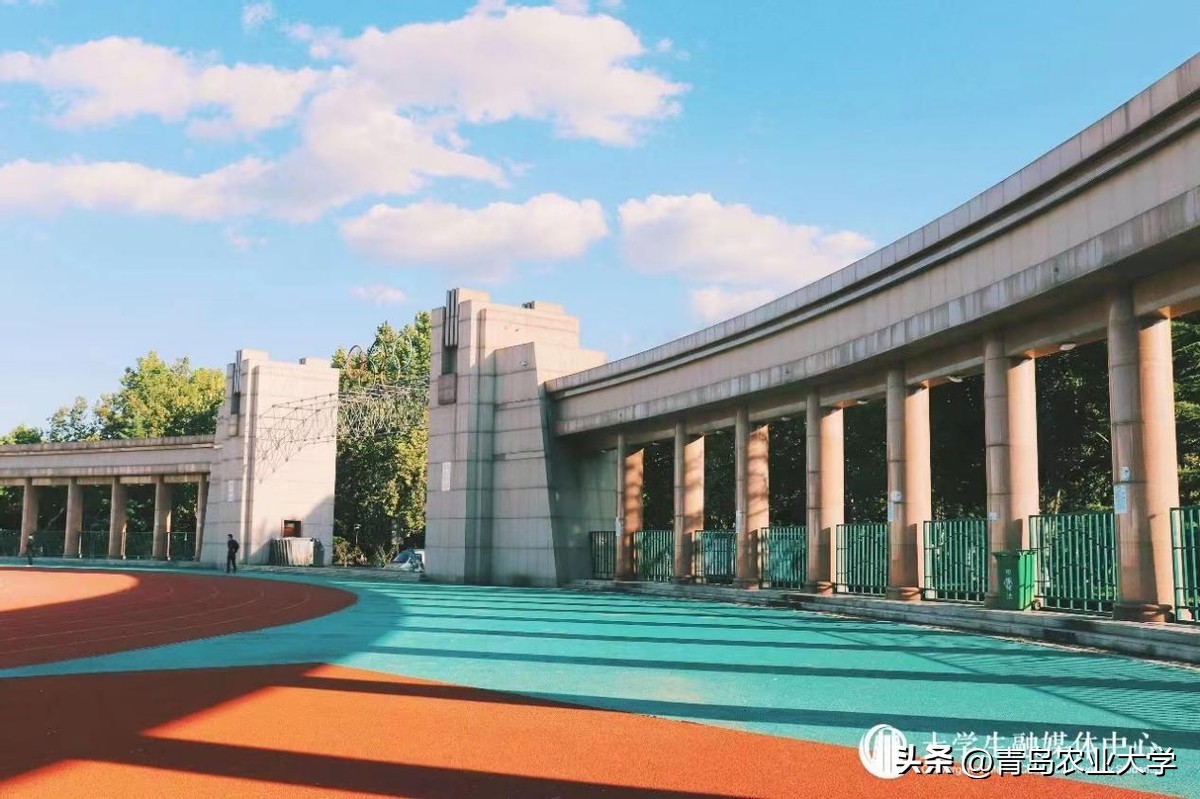 又到毕业季承载着满满的回忆,毕业季带着你们开启新的旅途