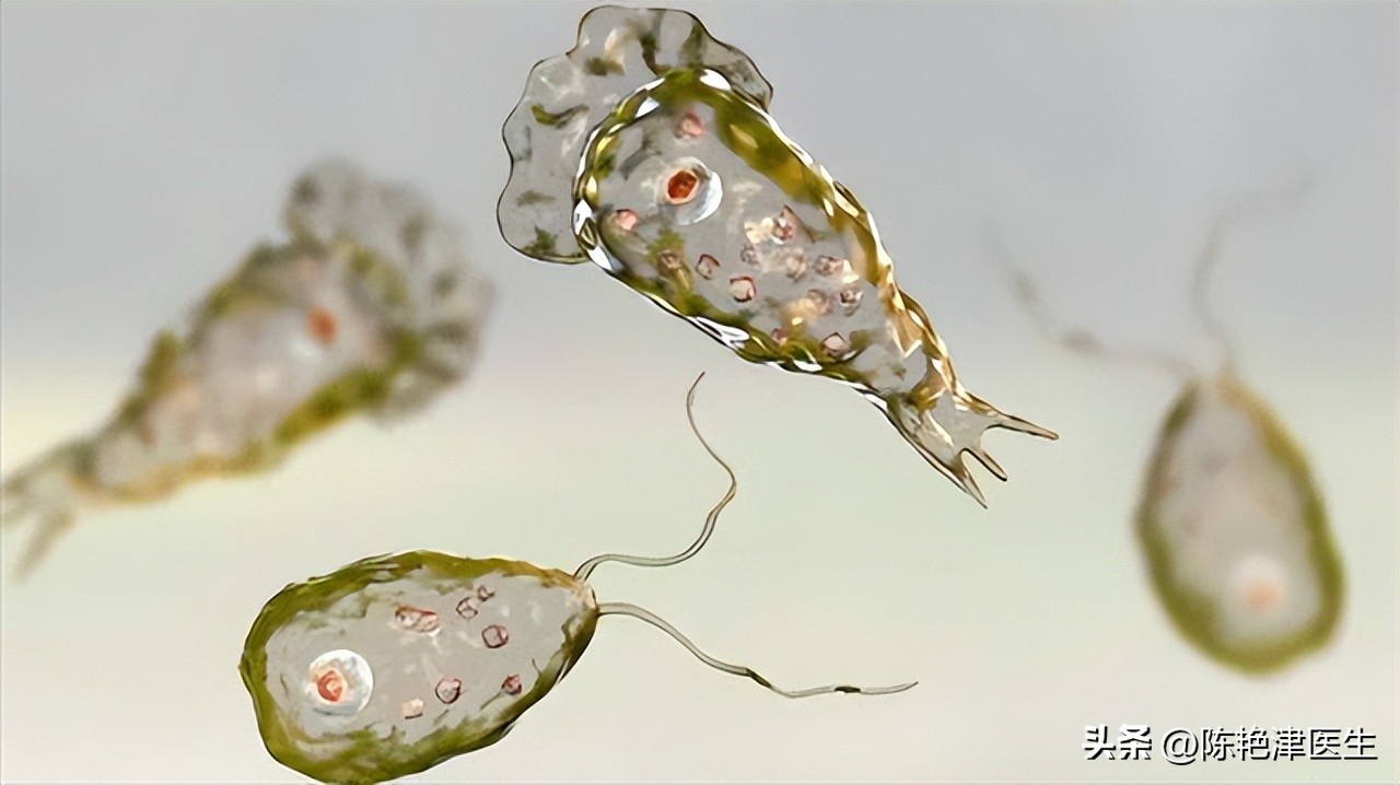 甲硝唑一瓶250ml多少毫克,甲硝唑最少一瓶是多少片