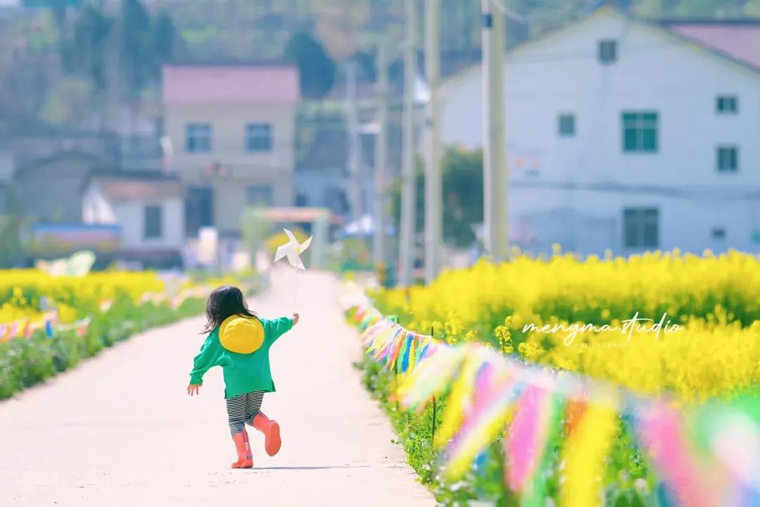 抄书第七天视频,坚持抄书就那么难吗