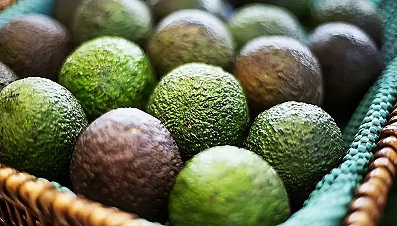 牛油果到底是不是个大骗局,牛油果收益