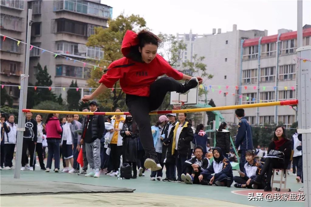 爱打篮球能考什么学校,爱打篮球吗