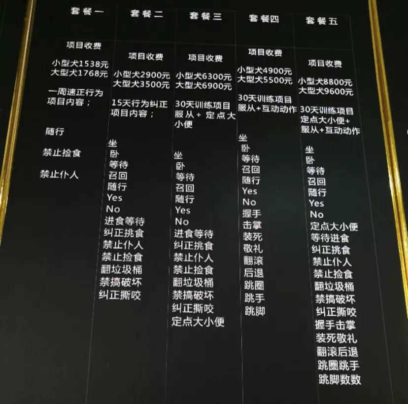 为了让狗狗不吃粑粑,我花5000元给它报了个班