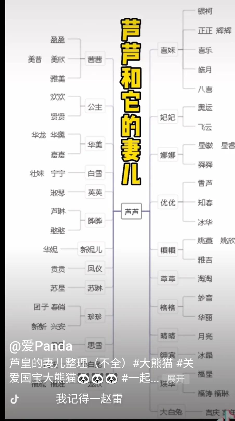 熊猫界几大家族,熊猫的种类有多少种