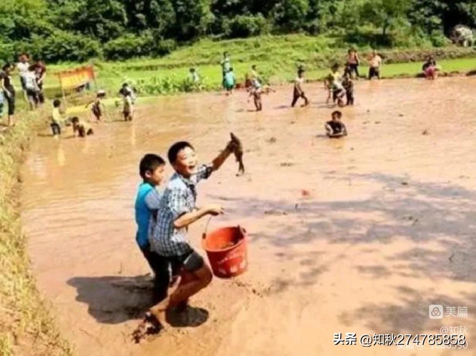 童年的塑料带跟凉鞋,童年的塑料凉鞋图片