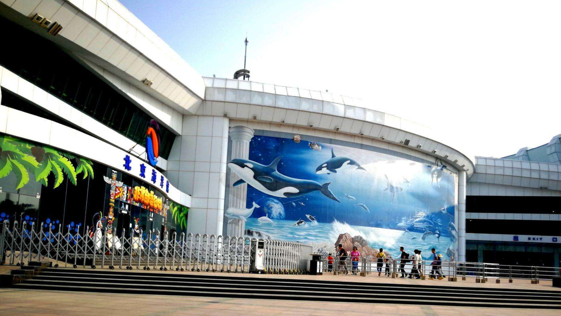 北京哪个海洋馆值得带孩子去,北京三个海洋馆哪个有海豚