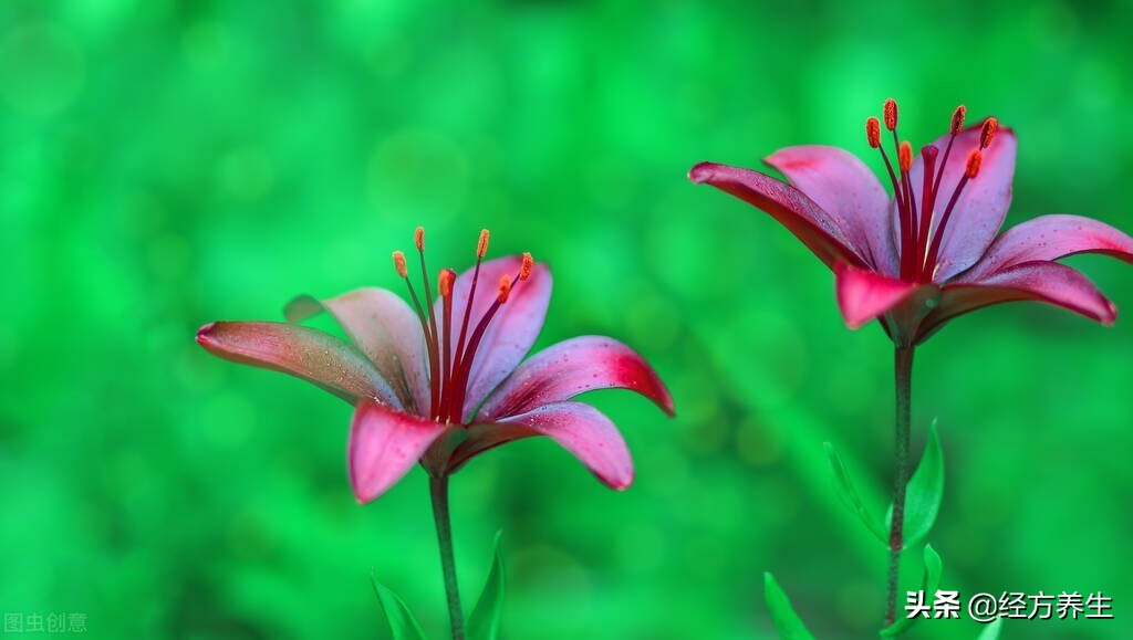 治疗过程中，医生和患者的配合