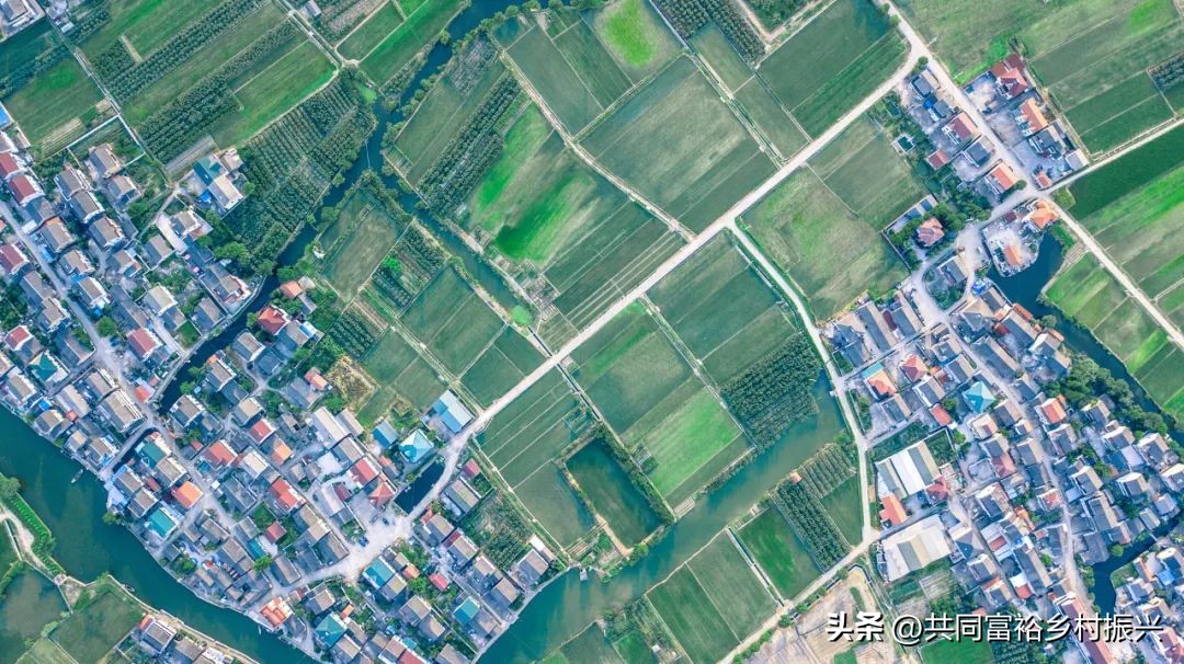 以数字经济助力乡村产业振兴案例,基层党建引领乡村振兴主要案例