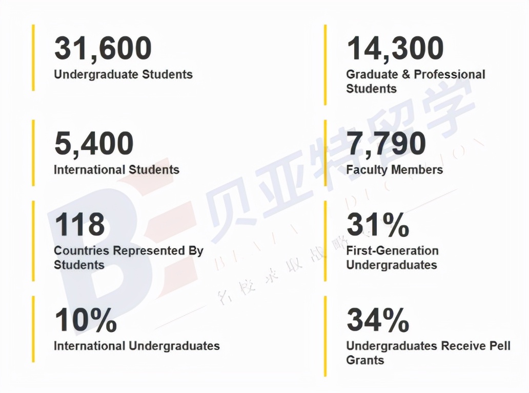 加州大学排名50-100,加州大学排名世界第几