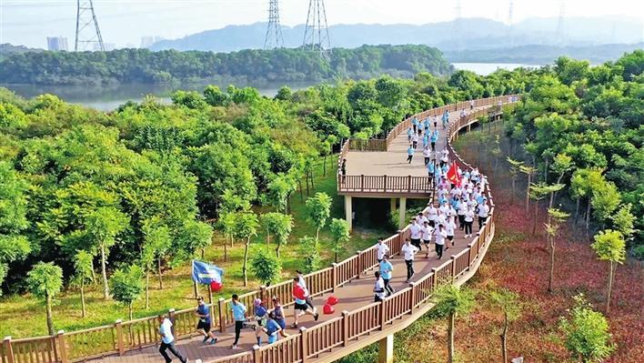 山海连城绿美宝安,深圳打造山海连城生态宜居城市