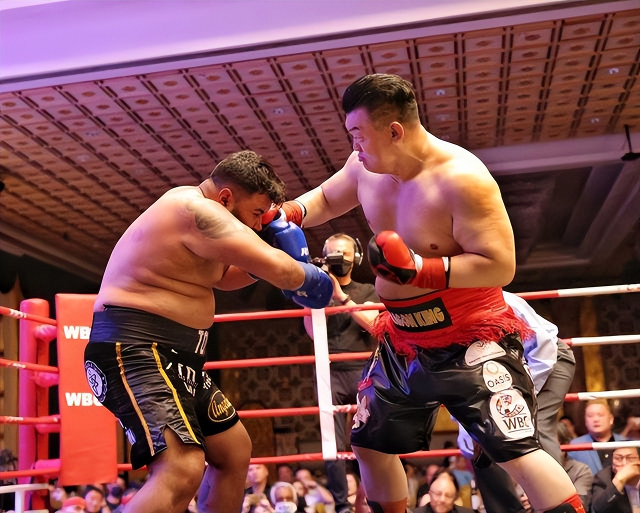 东方巨龙打败黑金刚,世界拳坛张君龙最新比赛