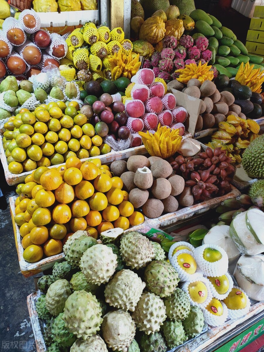西双版纳避寒避暑的雨林仙境,西双版纳避寒过冬优缺点