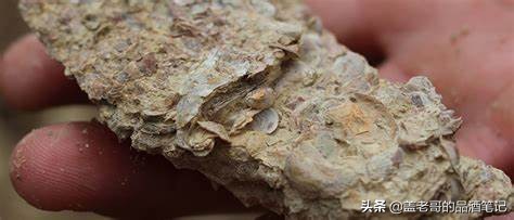 夏布利chablis葡萄酒,莫斯卡托桃红葡萄酒餐酒搭配