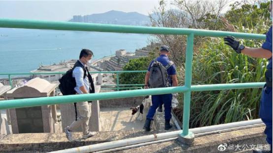 香港名媛碎尸案曝光,香港名媛碎尸案抓捕