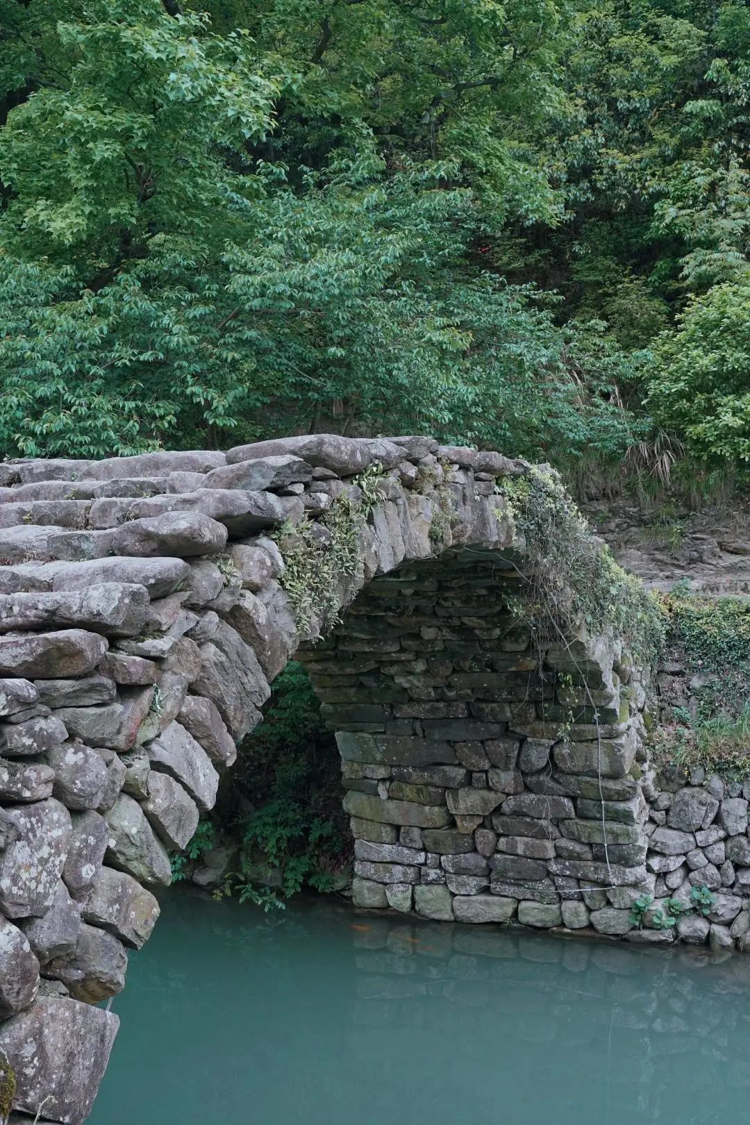 被《风味人间》疯狂种草的小城!1.5h直达!凭一个饼就征服世界