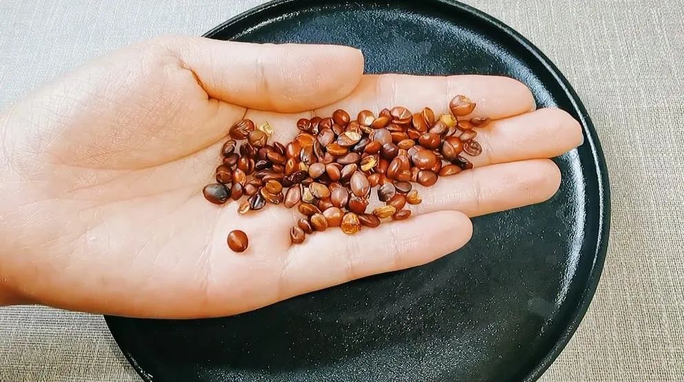 安神助眠每天几颗莲子,莲子有安神助眠的作用吗