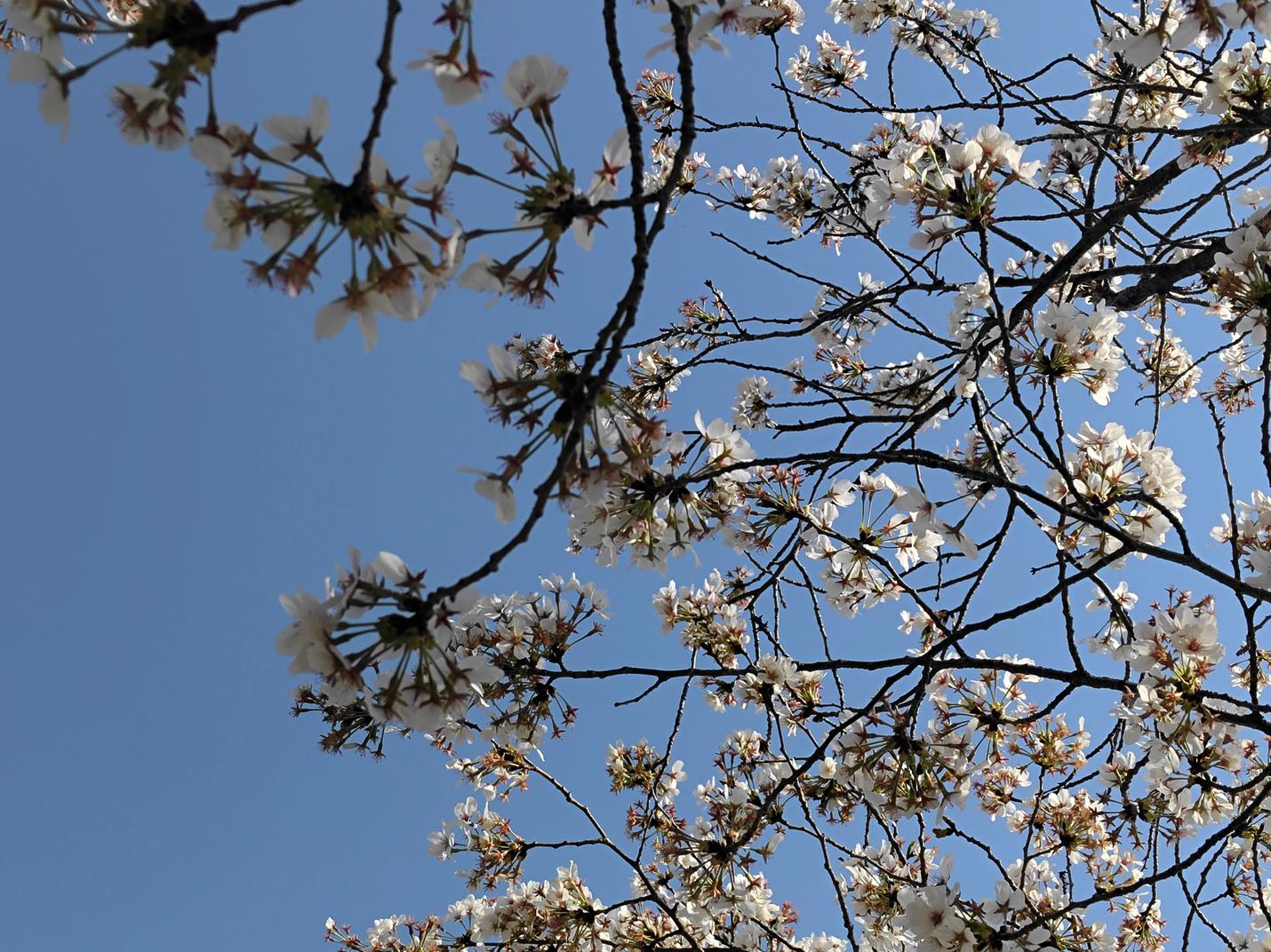 iqooz7手机知识大测评,iqooz7x80w快充测评