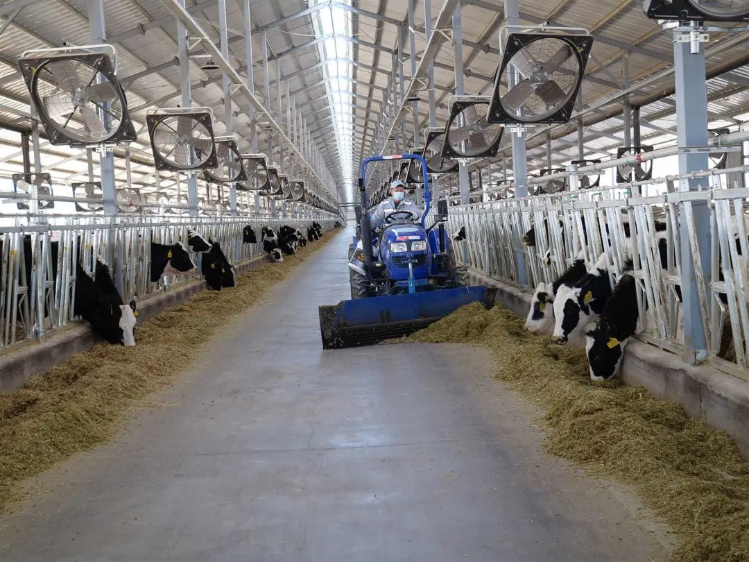 【旗县动态】奈曼旗、开鲁县、库伦旗