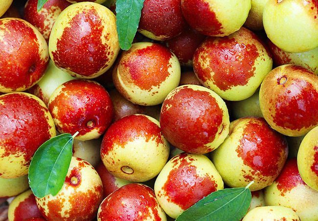 你知道什么叫红枣,贡枣的特点