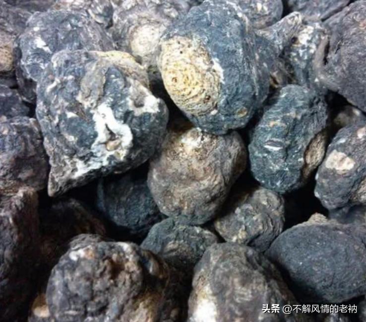 没买过什么不得了的东西,没买过东西