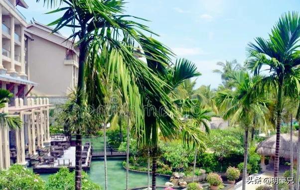 那年和女同事坐飞机，遭遇雷电惊魂，却意外牵手情缘