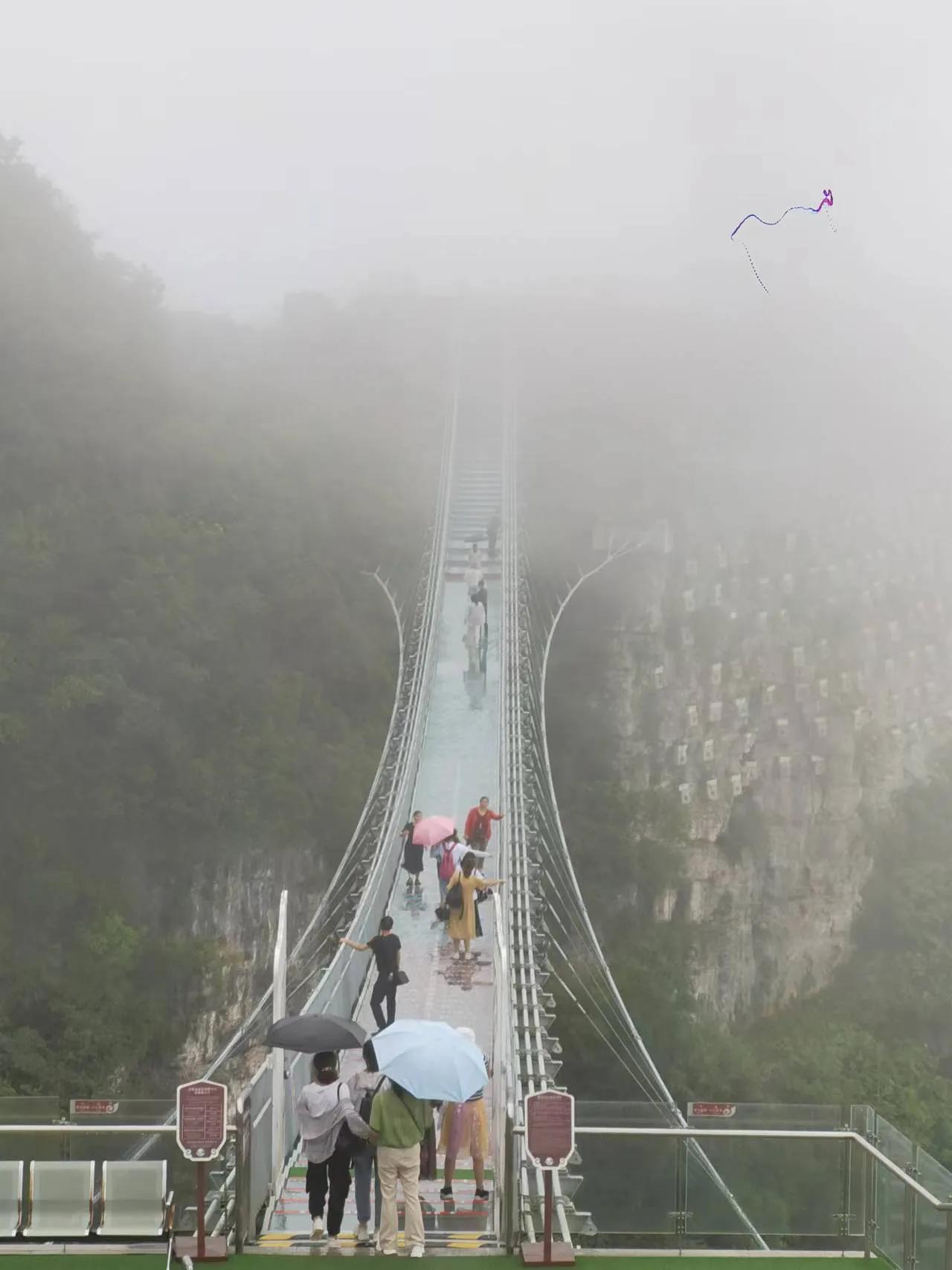 登山避暑日记,避暑山庄一日游的日记