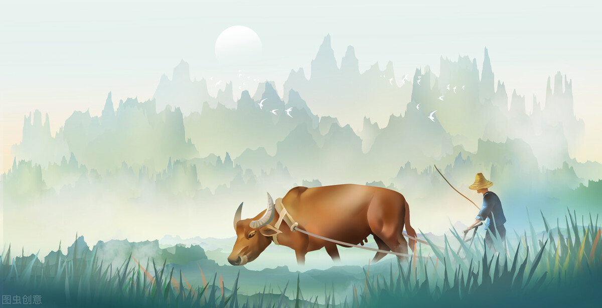 2023年是黑兔年有什么忌讳吗,2023年是黑兔年有什么忌讳