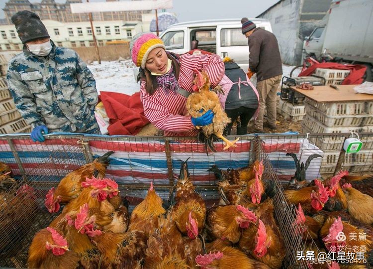 镜头下的万达,大连实时镜头