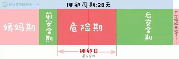 女生生理安全期和排卵期,排卵期后两三天安全期吗