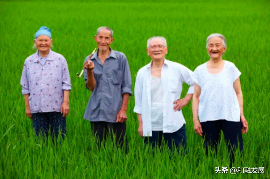 农业人口老龄化对农地配置与种粮决策的影响