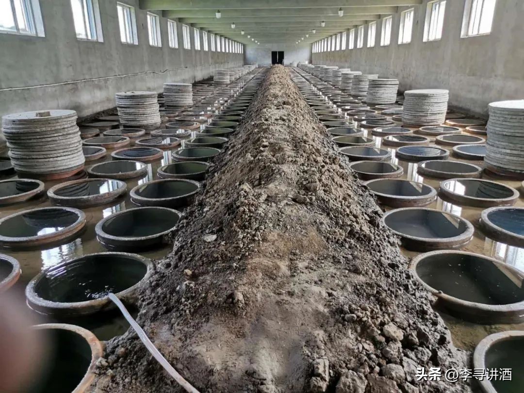 李寻谈酒全集,李寻谈酒完整版视频