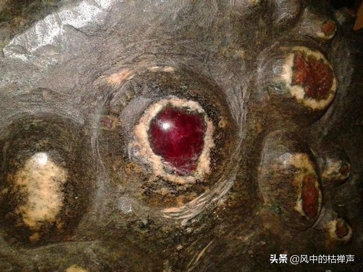 福建大山深处发现奇石,深山发现珍贵顽石