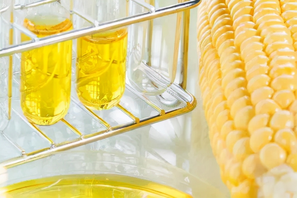 蜜蜂冬季饲料配方,蜜蜂饲料花粉配制方法